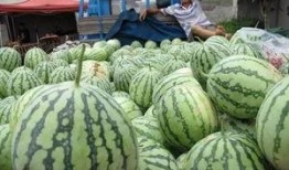 吃瓜群众崩溃视频,视频揭露社会百态