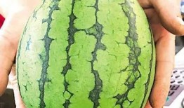 吃瓜群众一天一个瓜,揭秘娱乐圈那些不为人知的秘密