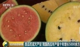 中国吃瓜群众发明了什么,揭秘民间奇思妙想