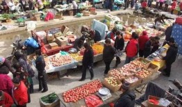 太和县吃瓜群众,吃瓜群众的欢乐盛宴