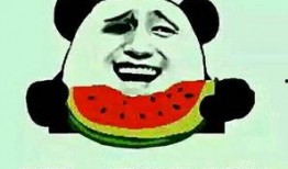 吃瓜群众对于菜菜的问题,揭秘吃瓜群众热议的焦点人物