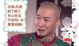 吃瓜群众太受伤怎么办啊,如何应对网络暴力与心理创伤