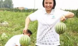 吃瓜群众布尔什客,揭秘布尔什维克革命背后的故事