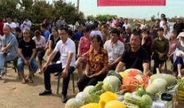 吃瓜群众为农民加油