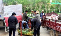 蕉岭吃瓜群众,揭秘当地生活百态