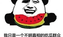 吃瓜群众网络小说,揭秘网络小说背后的江湖风云