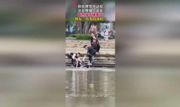 打扰群众吃瓜视频,一场意外引发的全民热议