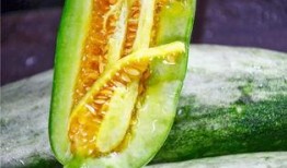 吃瓜群众吃得香,揭秘网络热议背后的趣味与真相