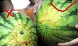 吃瓜群众小饰品是真的吗,真假难辨，真相大白！