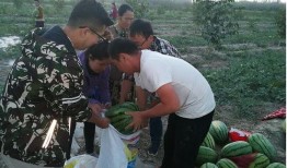 如曾相识吃瓜群众,揭秘娱乐圈那些事儿