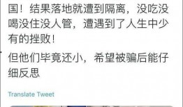 陇南吃瓜群众事件始末,一场网络舆论的风波与反思