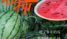 神秘吃瓜群众是谁,网络舆论场中的隐秘力量