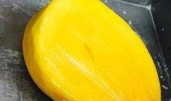 芒果店群众吃瓜,揭秘娱乐圈幕后风云