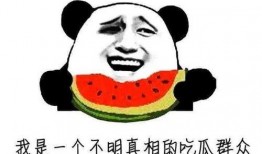 一个快乐的吃瓜群众,一位快乐吃瓜群众的欢乐日常