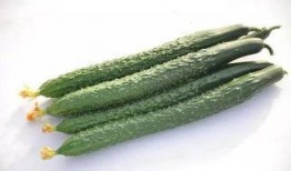 吃瓜群众黄瓜露脸照片高清,吃瓜群众黄瓜露脸瞬间，网友直呼太惊艳！