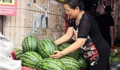 吃瓜群众王先生,吃瓜群众王先生的趣味生活点滴