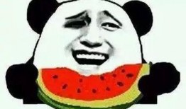 穿出吃瓜群众小说百度云,揭秘网络舆论背后的真实故事