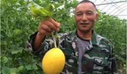 桃树村吃瓜群众视频,揭秘乡村生活趣味瞬间