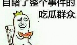 吃瓜群众不打扰,不打扰的智慧生活