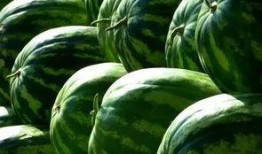 吃瓜群众选什么好吃的,吃瓜群众必尝的美食清单