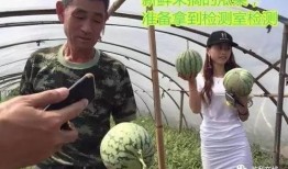 吃瓜群众区,揭秘吃瓜群众区的热点事件与幕后真相