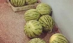 吃瓜群众走一波,揭秘娱乐圈幕后故事