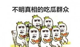 吃瓜群众坦白经典案例分析,揭秘经典案例分析背后的真相