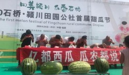 东乡吃瓜群众新闻最新消息,最新新闻事件聚焦