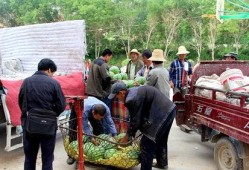 东乡吃瓜群众新闻最新消息,最新新闻事件聚焦