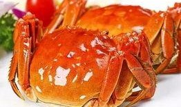 成为吃瓜群众大闸蟹的小说,一场美食与江湖的跨界传奇