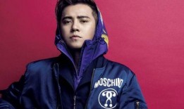 罗志祥吃瓜群众的瓜,揭秘娱乐圈的“瓜王”传奇