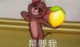 吃瓜群众和柠檬精,揭秘网络社交中的两种独特现象