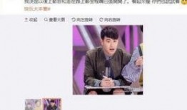 胖翻译变成吃瓜群众,一场身份转变的趣味之旅