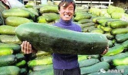 旁若无人的吃瓜群众图片,揭秘旁若无人的吃瓜群众现象