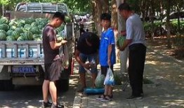 北张村吃瓜群众事件始末