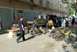 孟州的吃瓜群众看过来,吃瓜群众看过来，揭秘本地热点事件