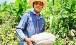 一个善良的吃瓜群众的故事,见证人间百态的温暖故事