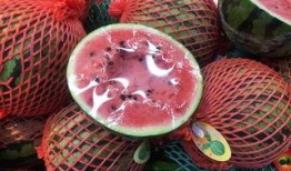 上海出差吃瓜群众,吃瓜群众的美食之旅