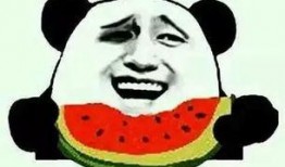 吃瓜群众爆火视频大全集,笑料百出，精彩纷呈