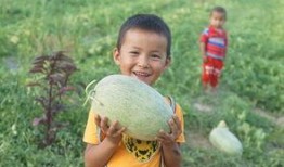 小孩子吃瓜群众搞笑