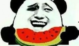 吃瓜群众看蛇,神秘与恐惧的交织