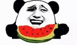 吃瓜群众阿润,揭秘吃瓜群众的趣味生活