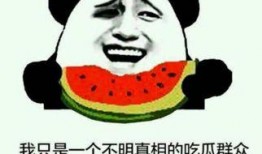 吃瓜群众磕cp的状态怎么样,揭秘吃瓜群众磕cp的狂热状态