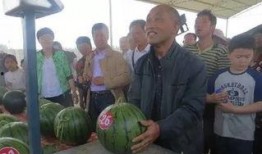 桑植吃瓜群众,揭秘当地独特饮食文化