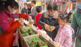 吃瓜群众的藏宝盒的作品,探寻神秘作品的奇幻之旅