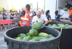 吃瓜群众最简单回答是什么,吃瓜群众最简单回答大盘点