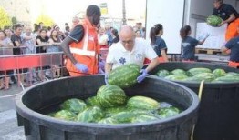 吃瓜群众最简单回答是什么,吃瓜群众最简单回答大盘点