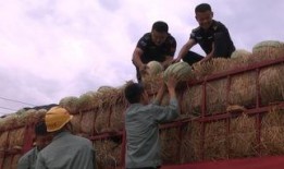 吃瓜群众真快乐图片大全,真快乐图片大全集锦