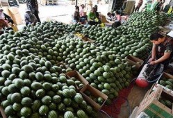 蟠桃街的吃瓜群众,吃瓜群众的欢乐盛宴