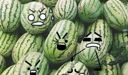 吃瓜群众福利怎么找,如何轻松获取“吃瓜群众福利”